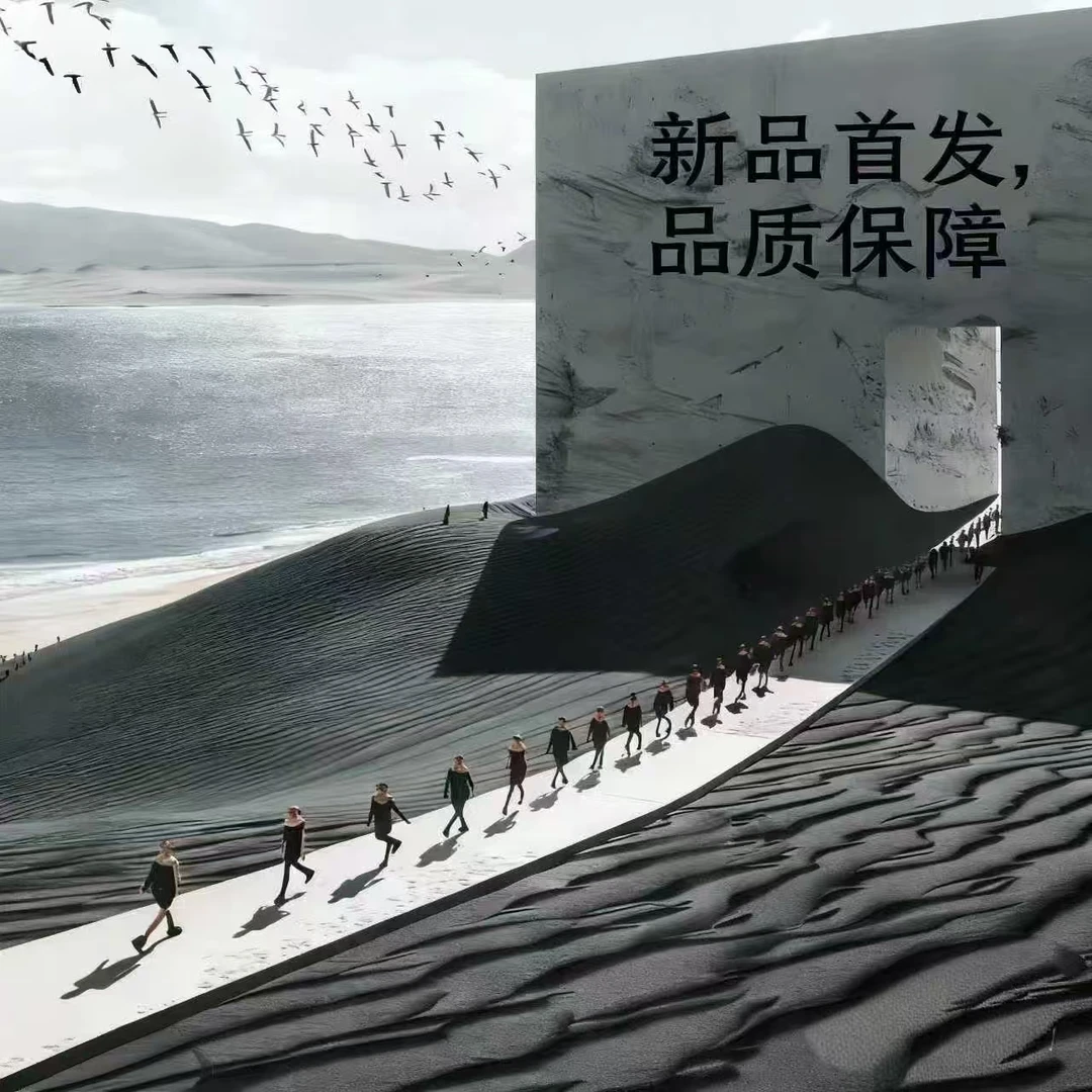 B【20号链接-简约小迪】2025新款潮牌国潮设计百搭潮流卫衣BD305