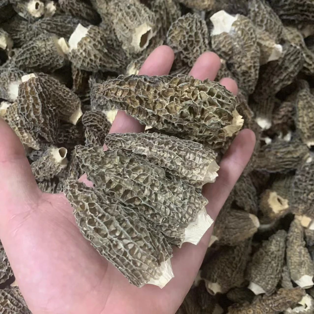 羊肚菌   剪脚500克