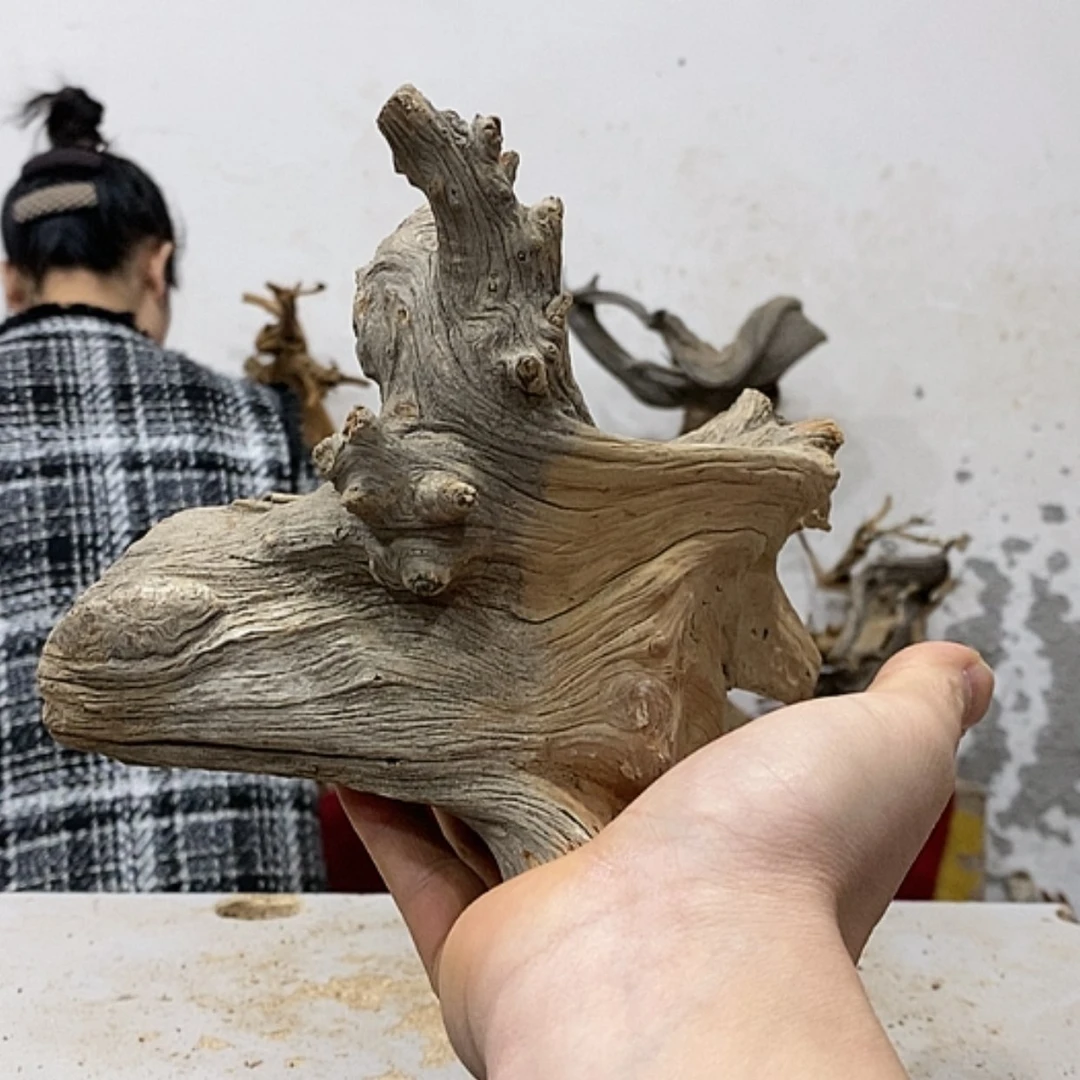 【闪购商品】柏木阿****装我们都是好孩子