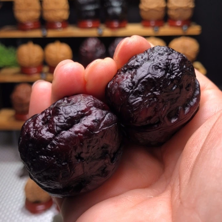 【闪购商品】地焖肌肉达摩5