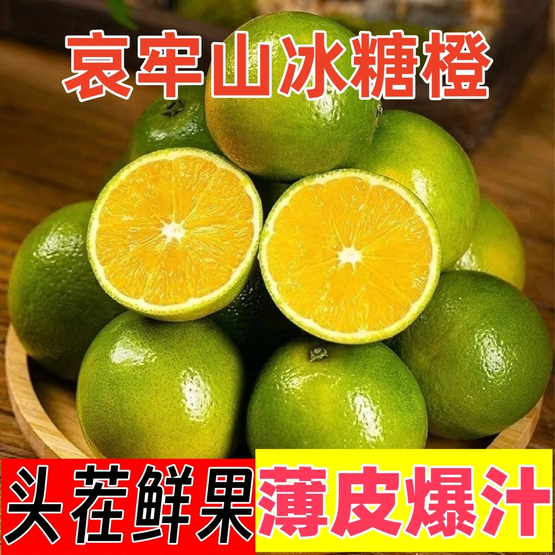 云南哀牢山青皮冰糖橙新鲜应季水果现摘现发皮薄多汁清甜
