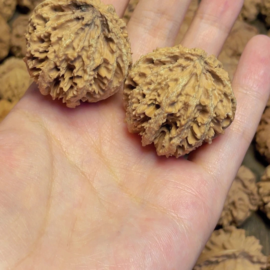 長***樂桃核把件6秦岭灯笼野生小众