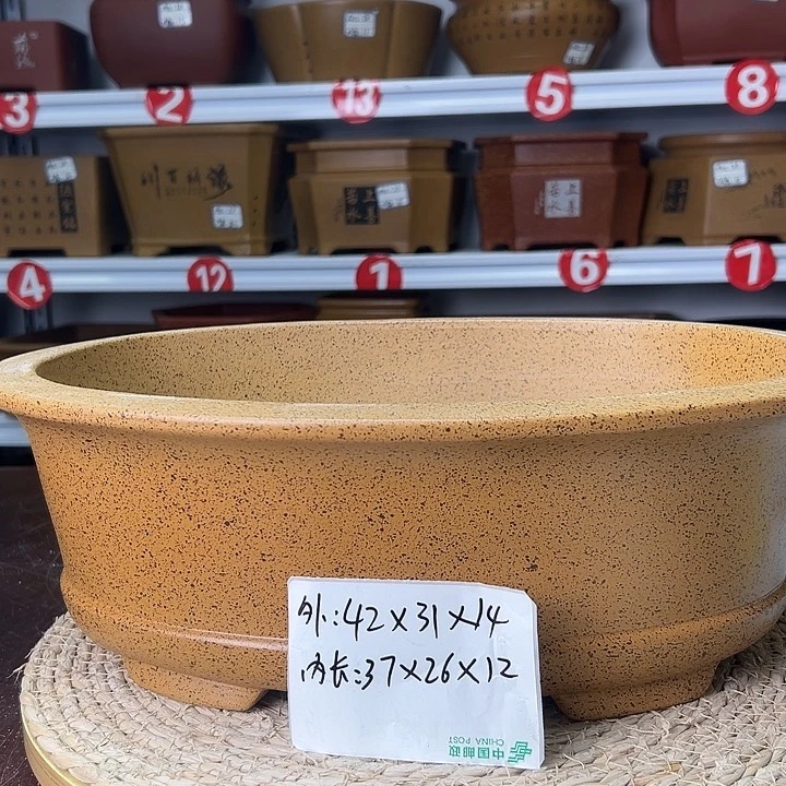 紫砂花盆蛇年大吉