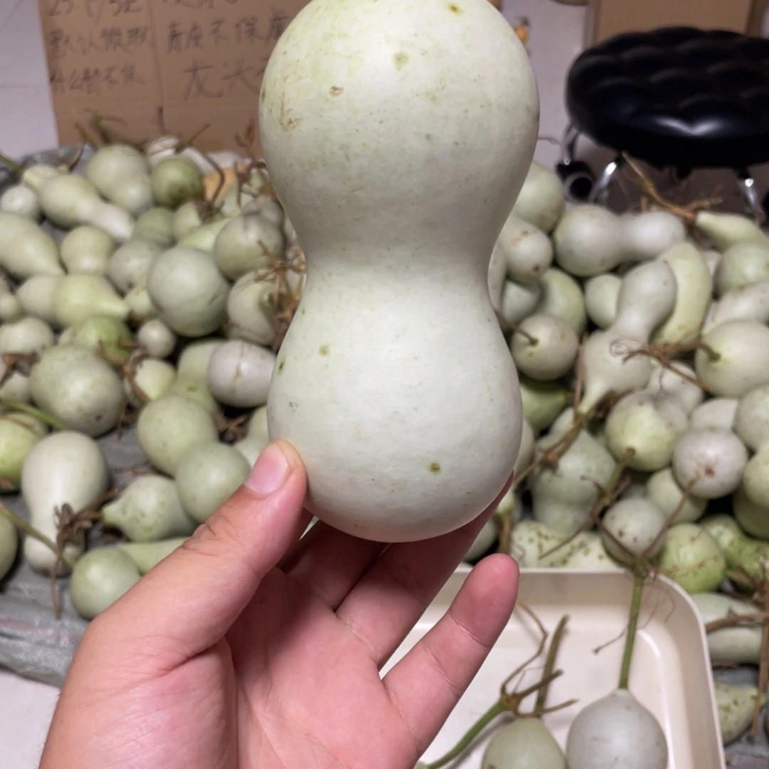 羊羔毛5655555555555