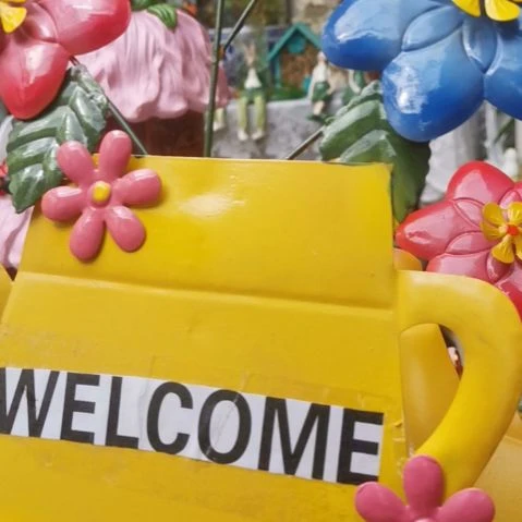 28包邮 默认微瑕花盆孤品