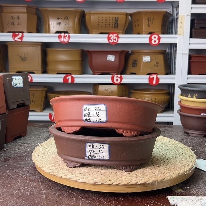 紫砂花盆蛇年大吉