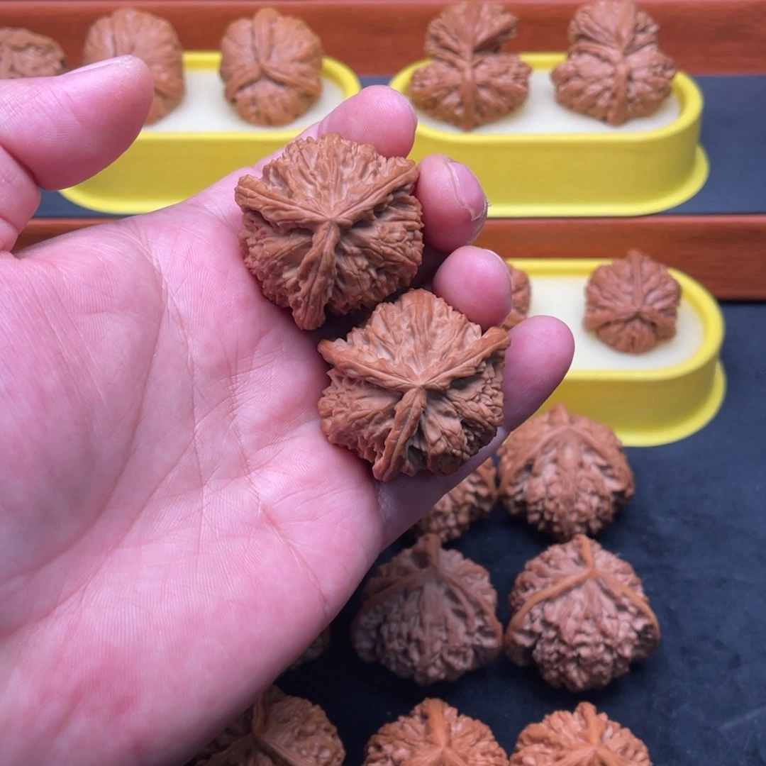 核桃手串/手链白狮子三棱40