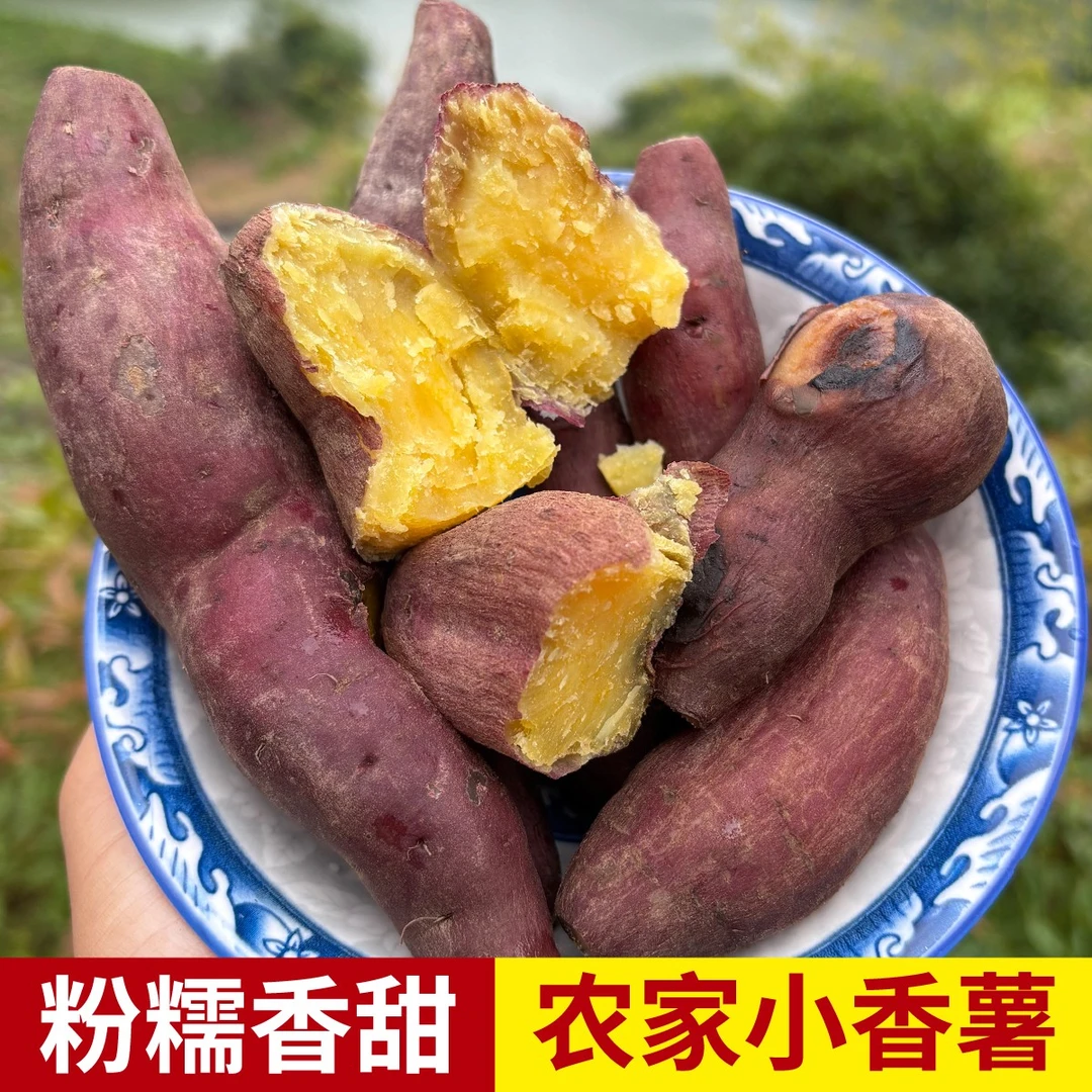 安徽黄山农家小香薯正宗板栗红薯新鲜自种无农药生态地瓜粗粮蜜薯
