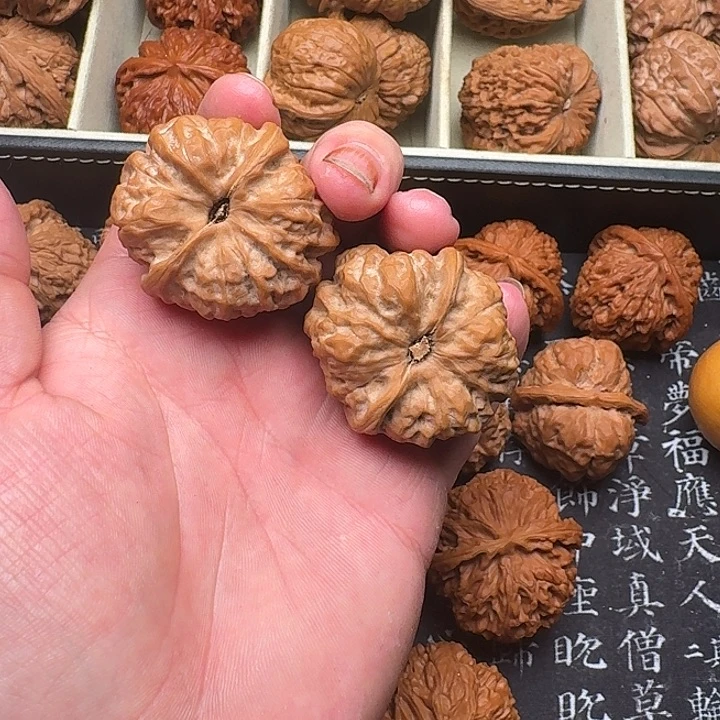圆***子把件核桃hhhhhhhhh