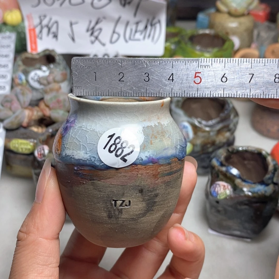 拍5送一个小礼物