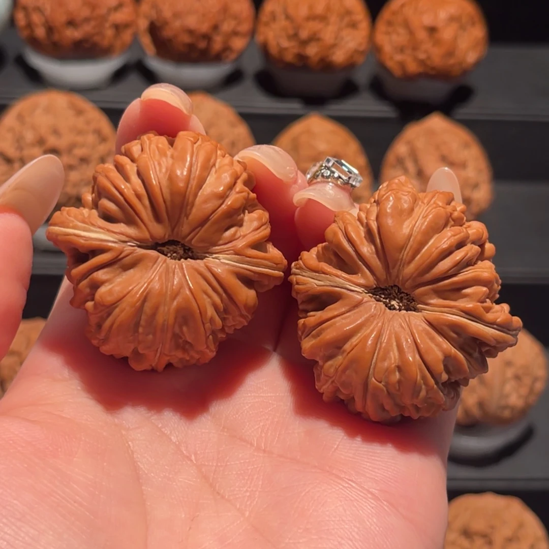 拱桥楼40，精品，大漏