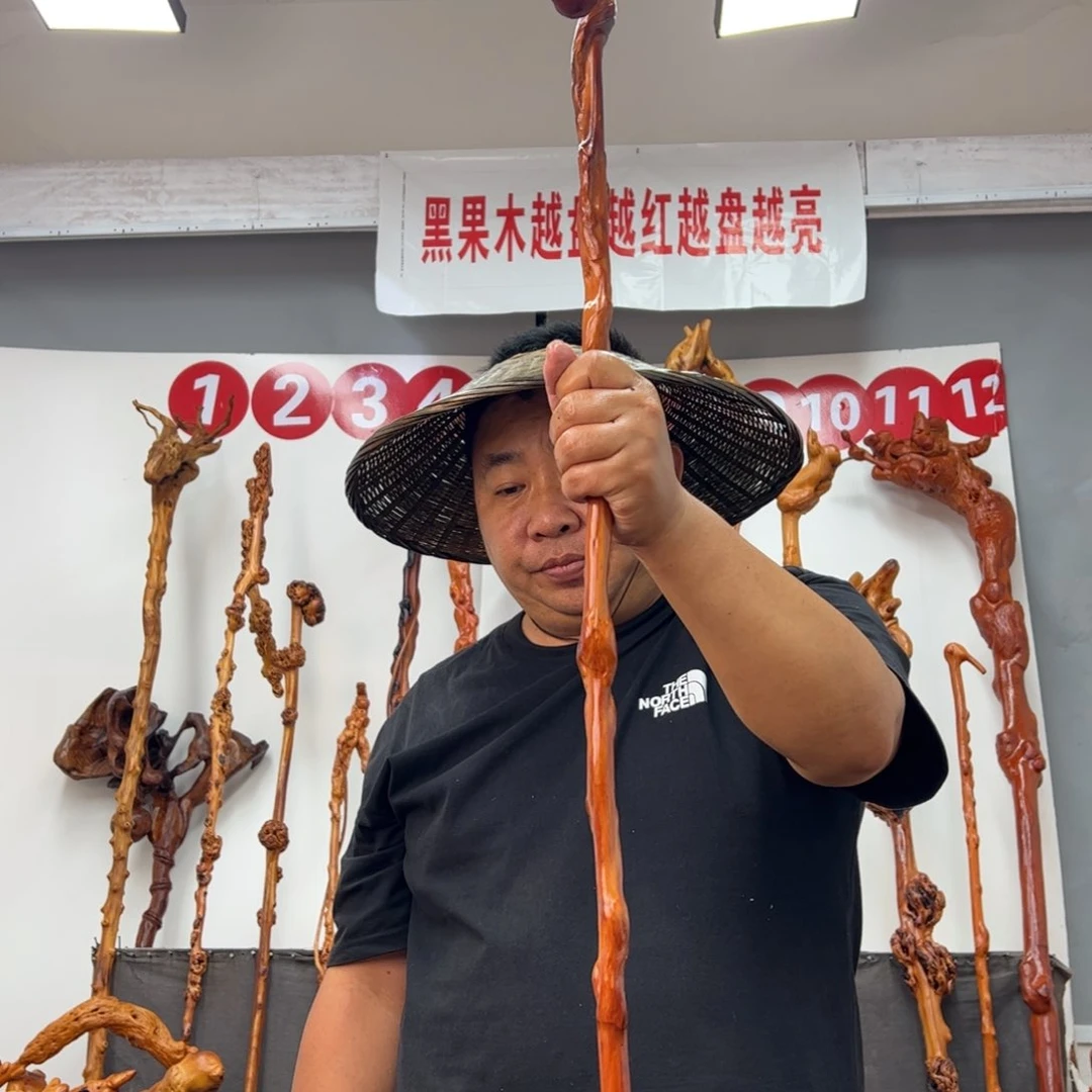 冰***地黑果木其他黑果木043