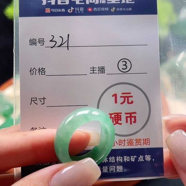 石英质玉未镶嵌颈饰
