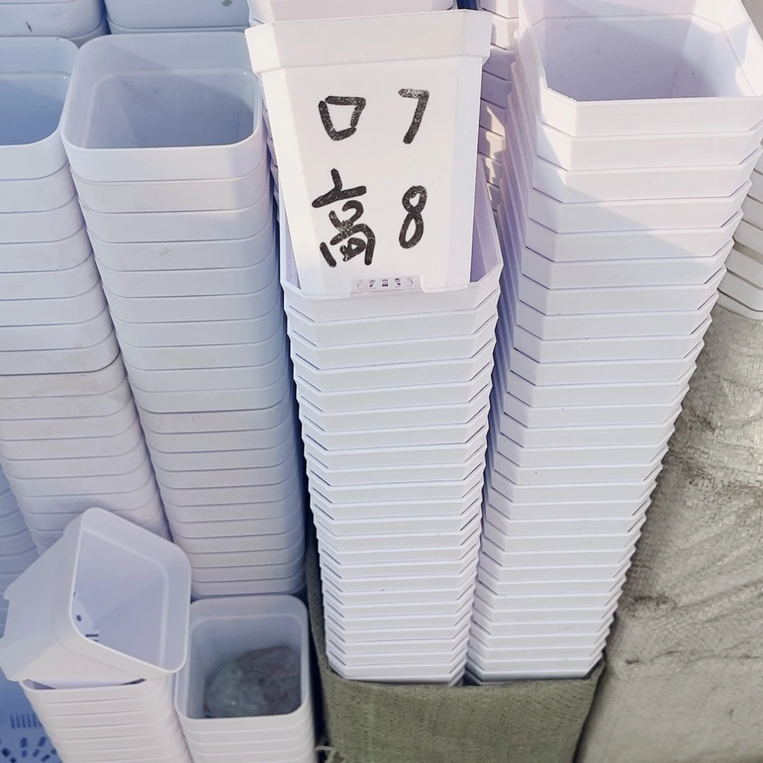 塑料加厚斜角款7方白色盆55个无托