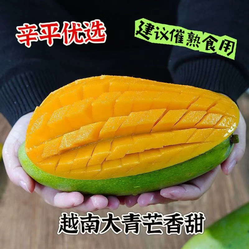 【生熟两吃】辛平优选越南进口大青芒爆甜新鲜芒果热带水果