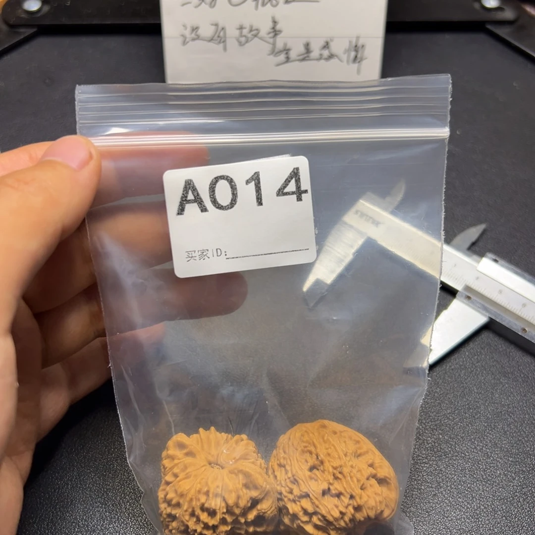 核桃哈哈哈哈哈我