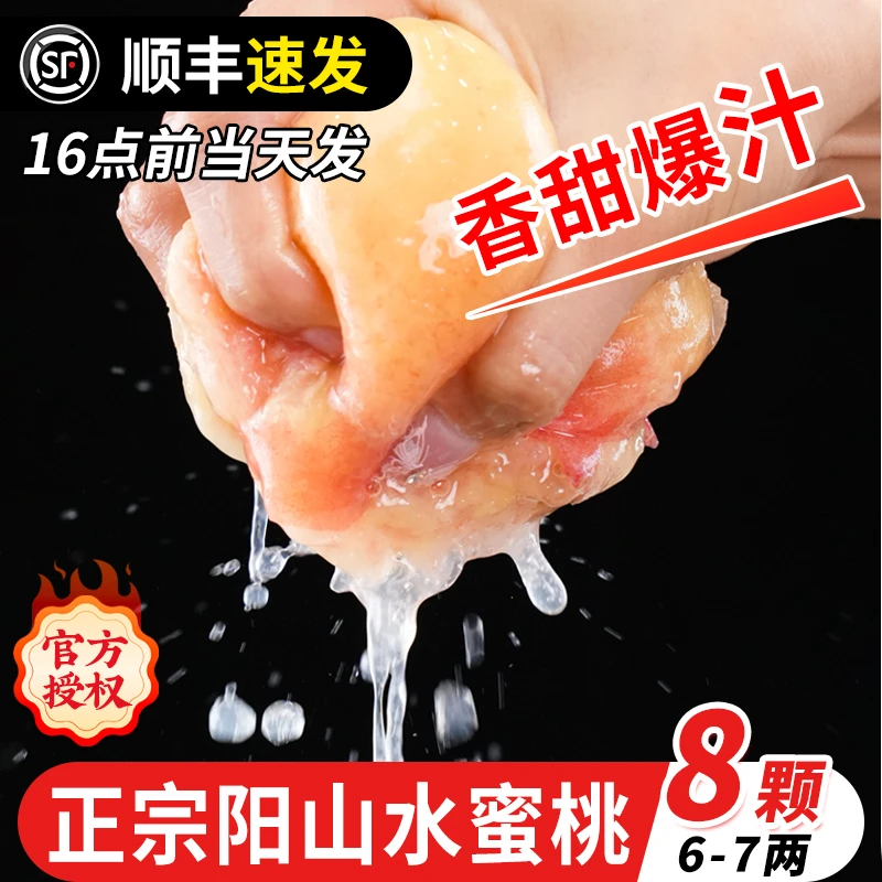 【8颗普通装】6-7两正宗无锡阳山水蜜桃新鲜水果当整箱应季桃子顺丰