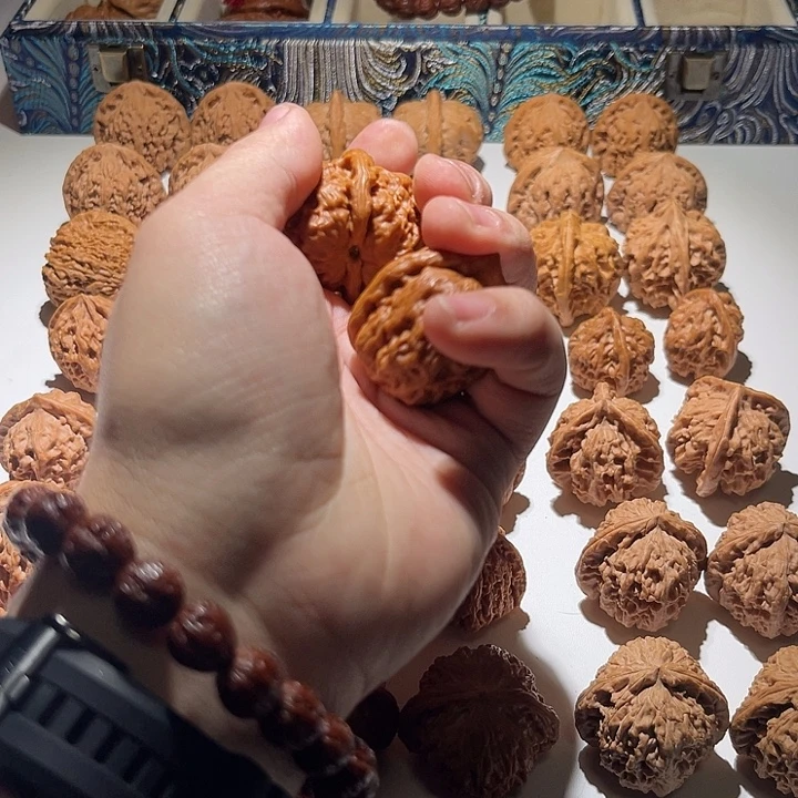 大叶紫檀（黑酸枝木类）