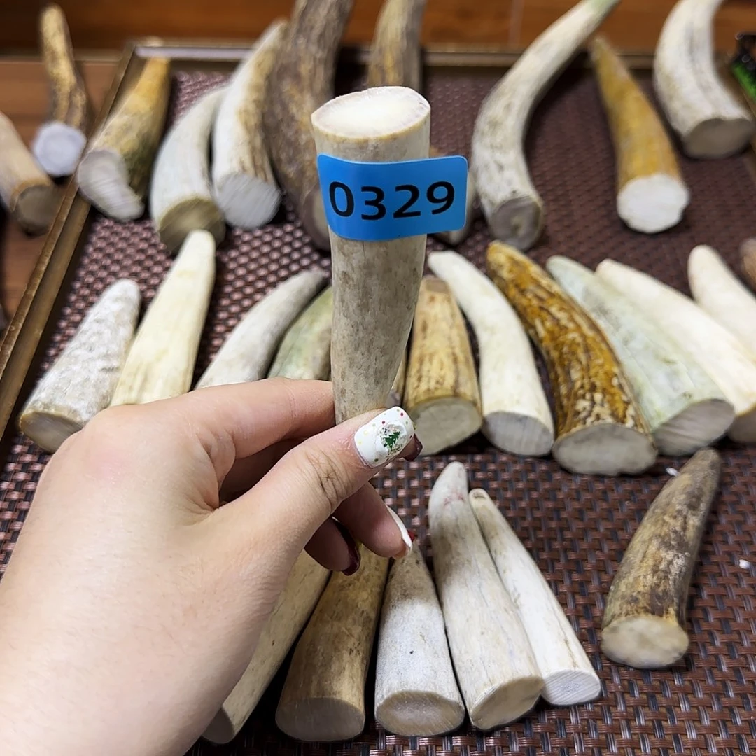 手串/手链鹿骨角尖0329