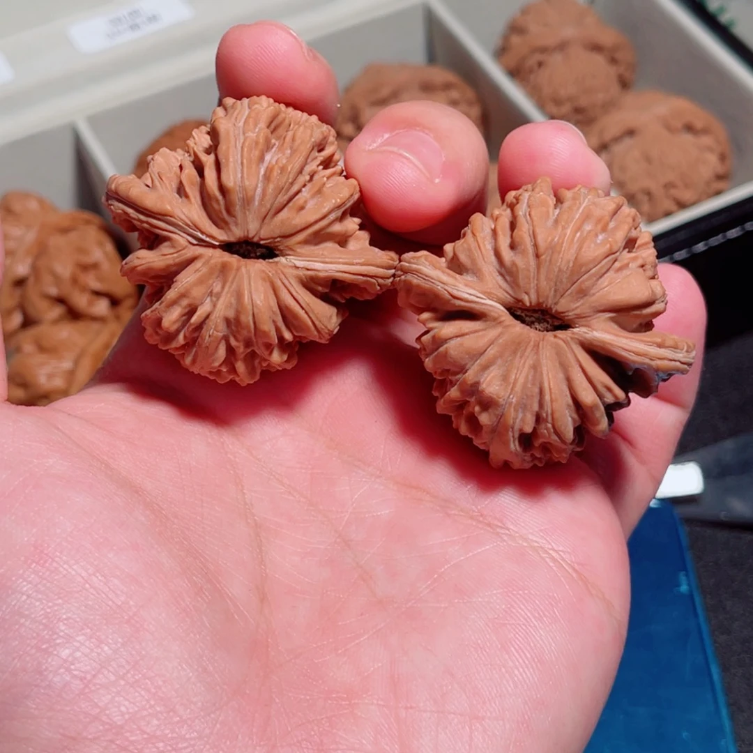 43平谷一代楼红皮有水尖