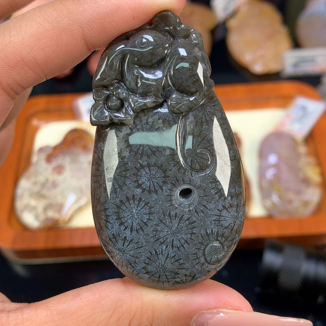 【闪购商品】颈饰未镶嵌硅化珊瑚（珊瑚玉）19号
