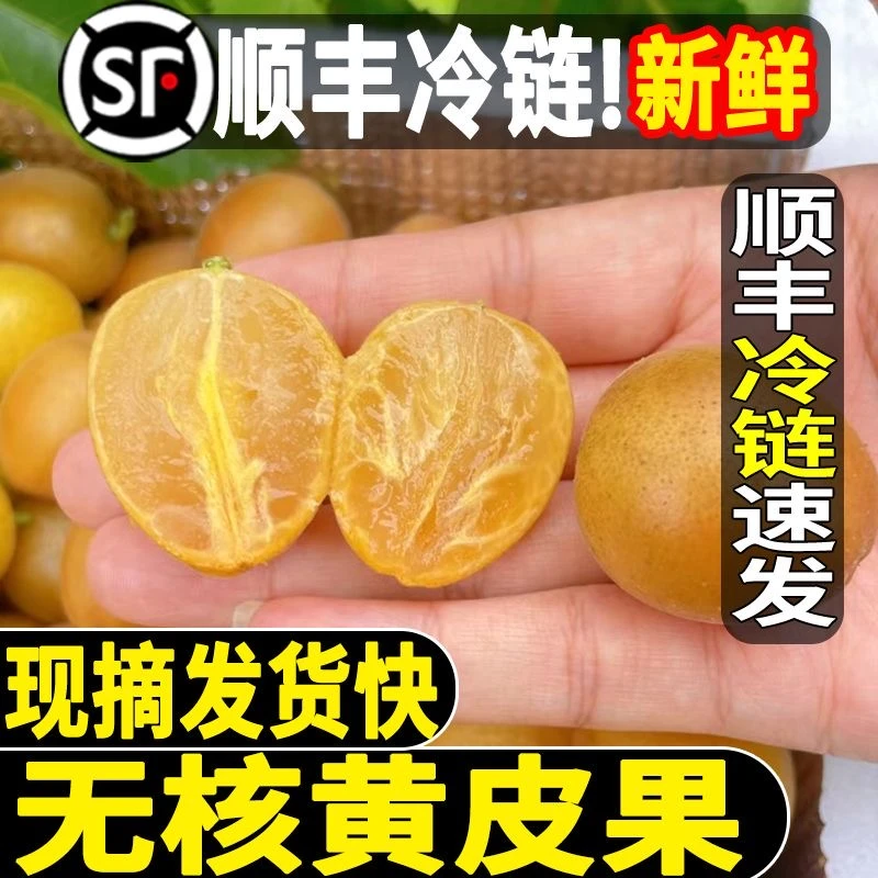 【顺丰冷链】广东郁南无核黄皮冰糖/鸡心新鲜现摘当季水果整箱包邮