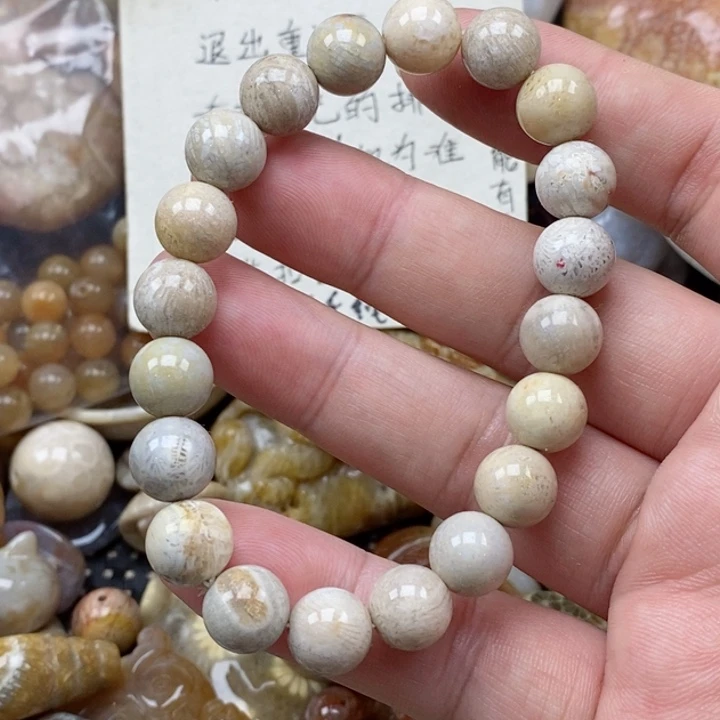 硅化珊瑚（珊瑚玉）未镶嵌颈饰