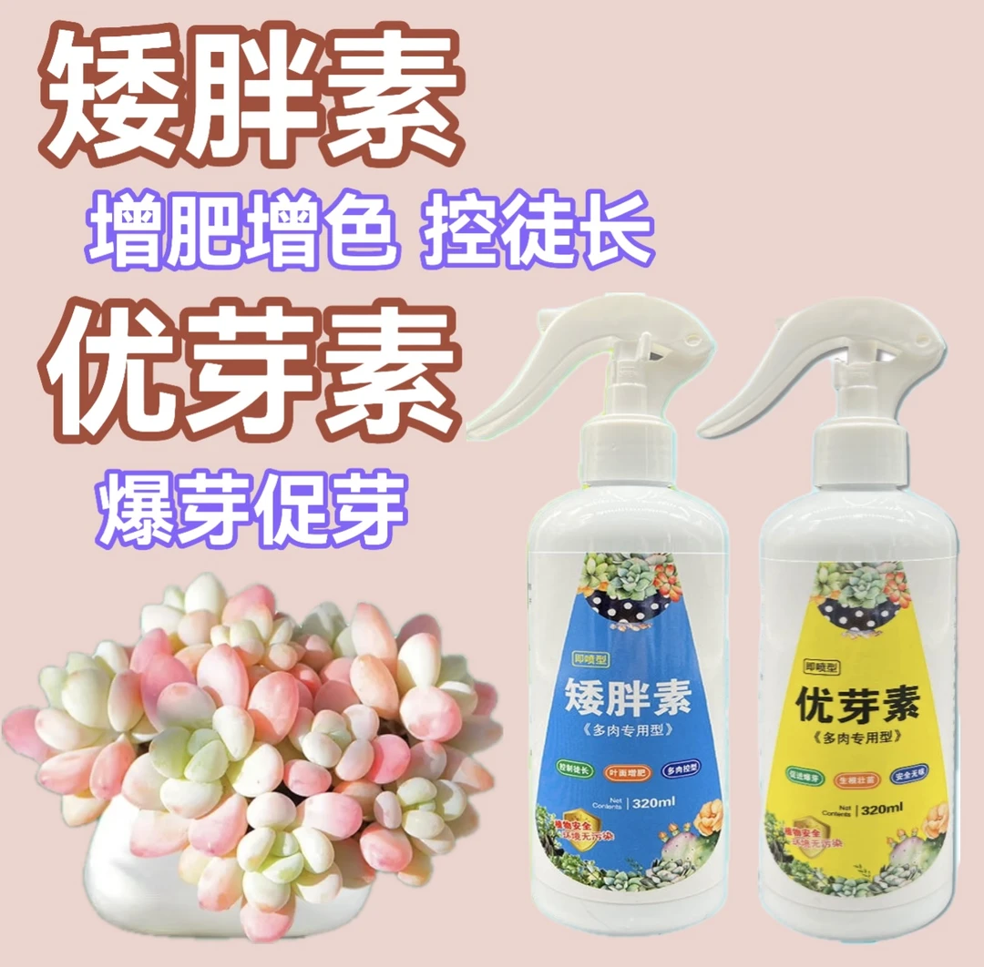 太阳花优芽素矮胖素多肉植物营养液促发芽生根控徒长多肉爆多头