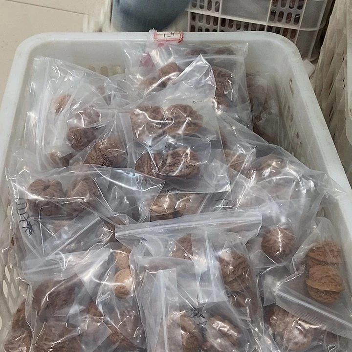 吊坠文玩核桃六对瑕疵