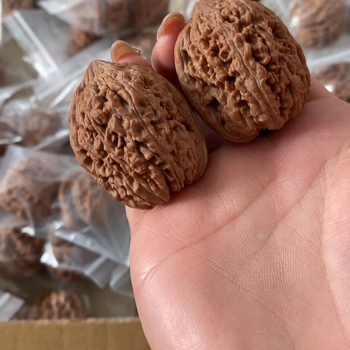 逗**儿大蒜头大蒜头大蒜头