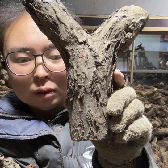 香榧木吴*火琉璃的故事毛料摆件