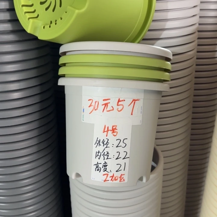 四季4#口径25无托果绿8个