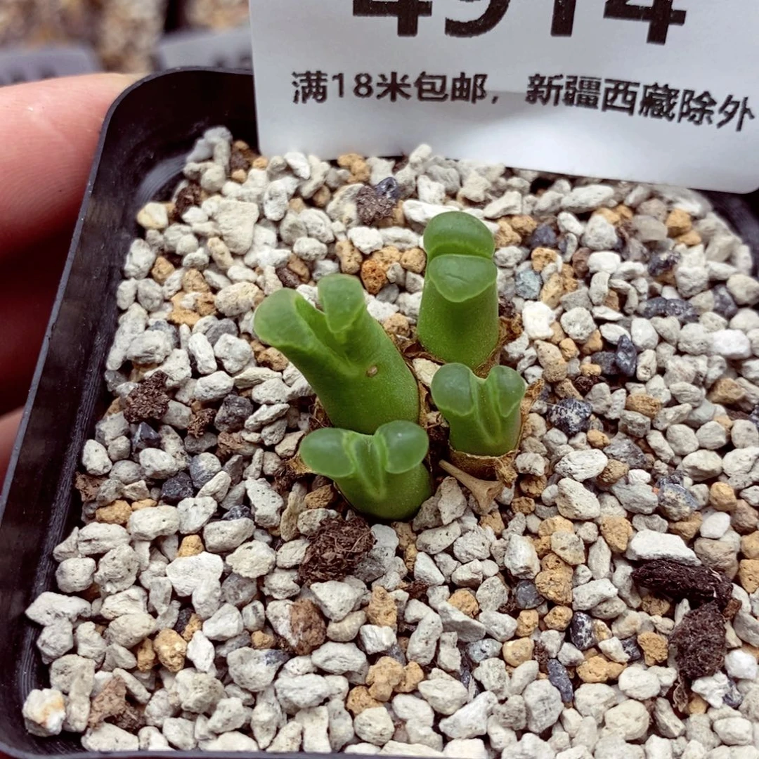 4914。