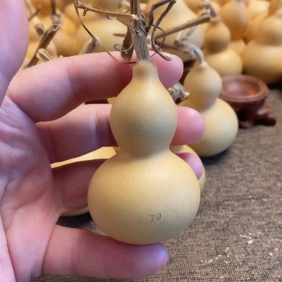 文玩葫芦 完美主义者 慎拍70