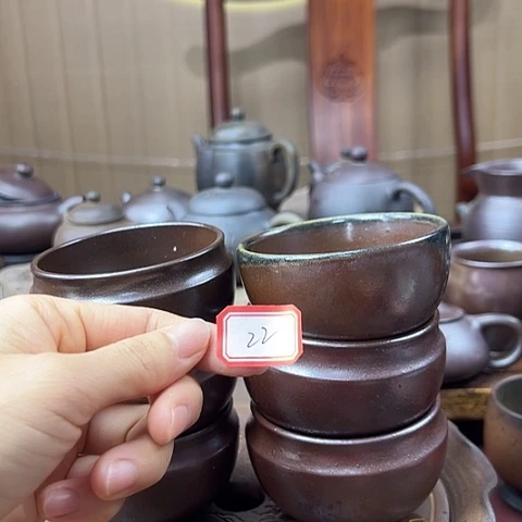 戬谷龙窑坭兴陶柴烧壶22
