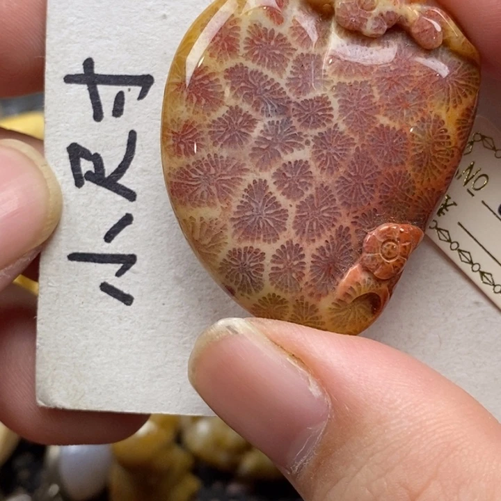 硅化珊瑚（珊瑚玉）未镶嵌颈饰