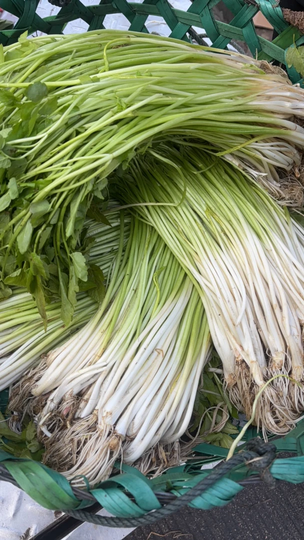 桐城四水桥芹菜现称