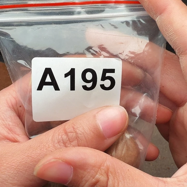 我***爱手串/手链核桃橄榄