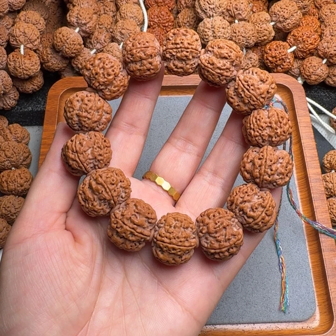 菩提18号尼泊尔大金刚23双龙梅花