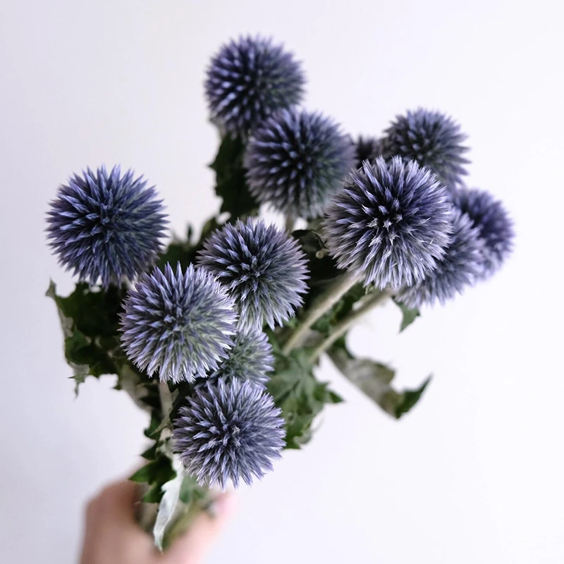蓝星球鲜花 小众萌系可爱高级感花材 可水养可做干花云南昆明直发