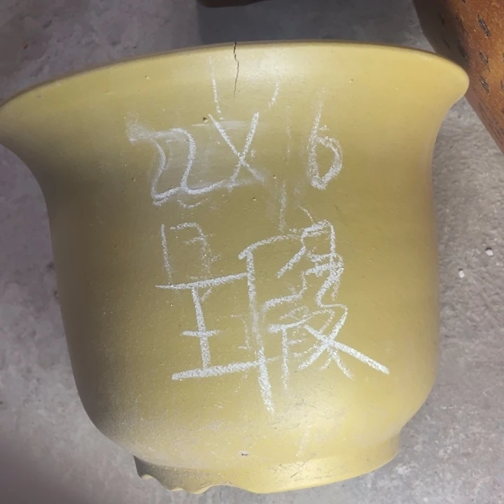 周三周四再说再说徐