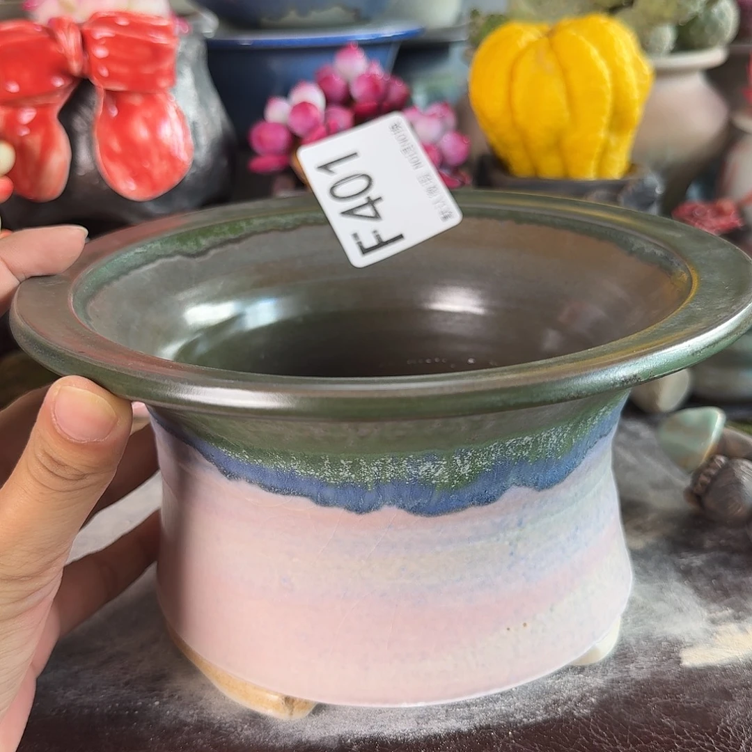 重庆小燕子欢迎大家401