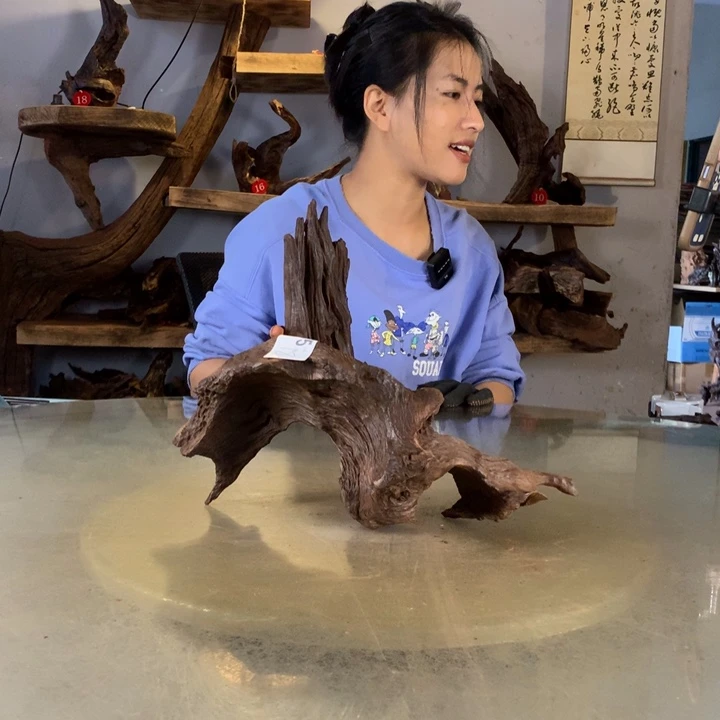 复***涨天然的云南紫柚木会黄