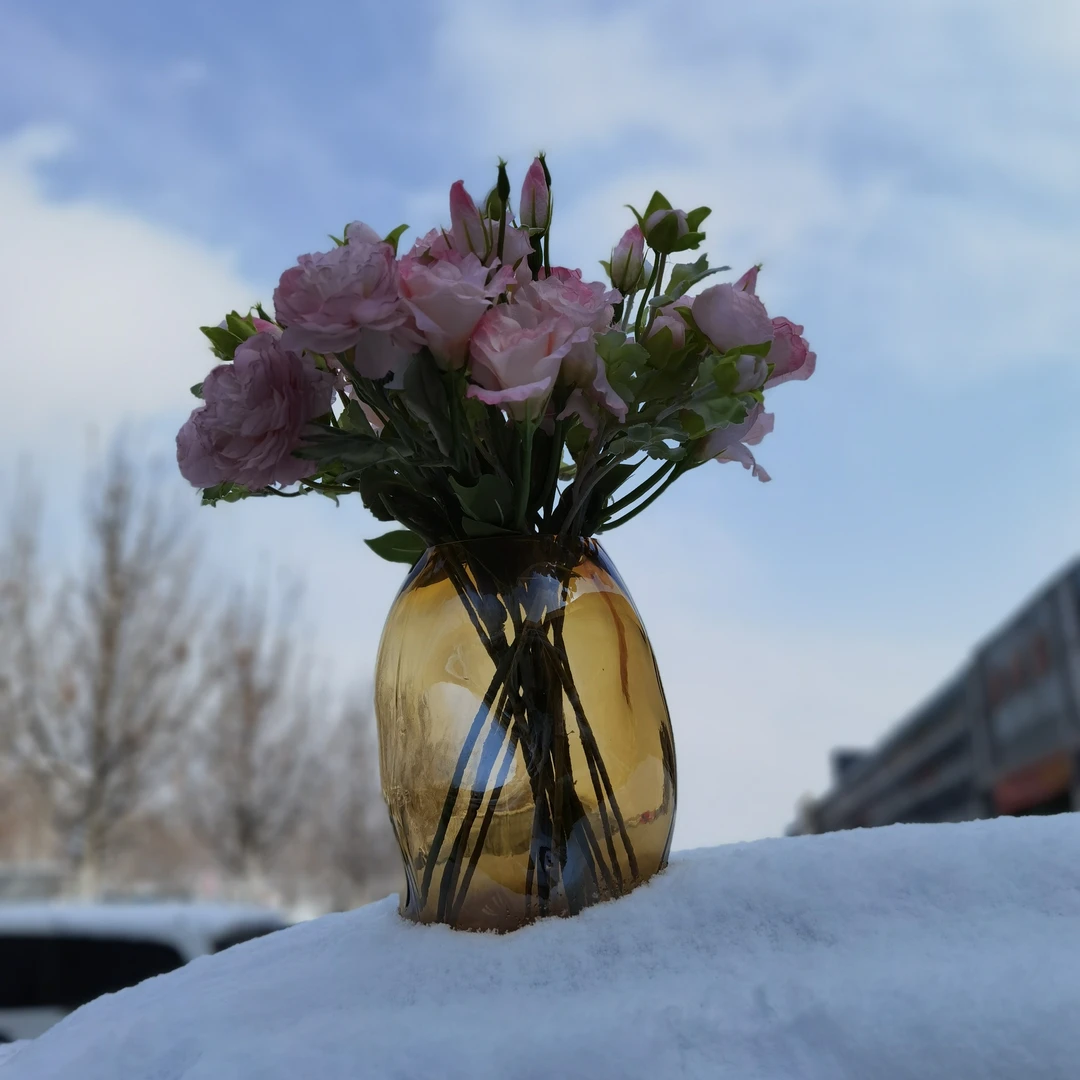 020北欧风创意琥珀色扎坑水培玫瑰洋牡丹百合直径17高25口11