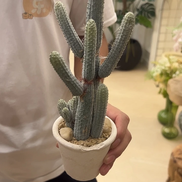 拍品瑕疵大福利大福利大福利
