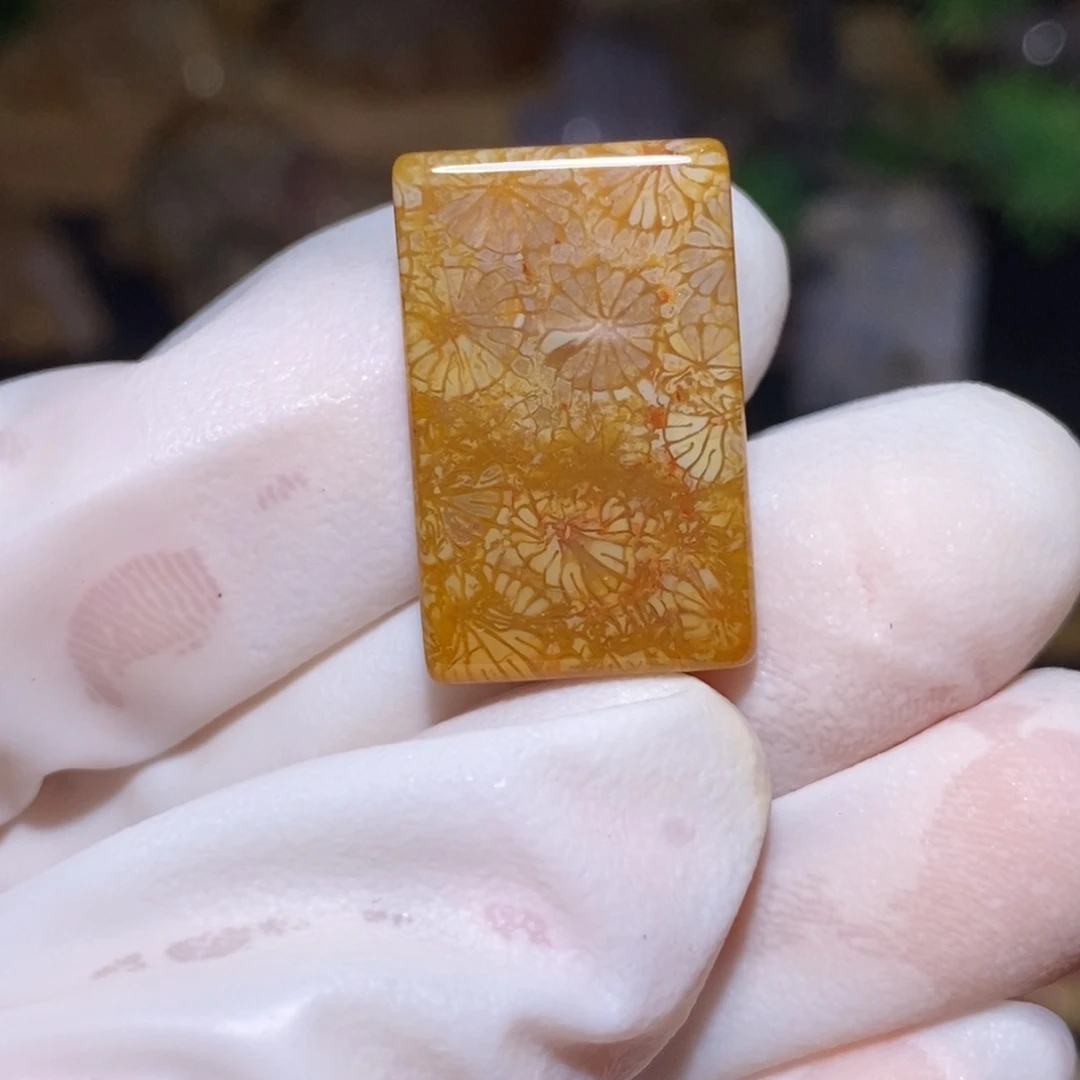 【闪购商品】硅化玉颈饰未镶嵌