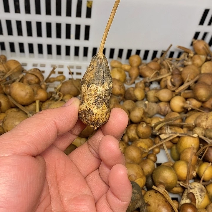 小***芦精品葫芦手把葫芦87