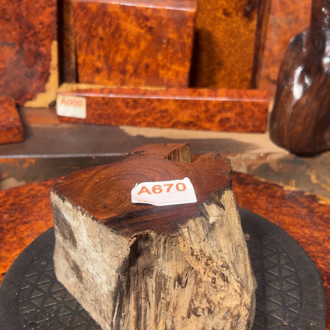 大果紫檀（缅甸花梨）