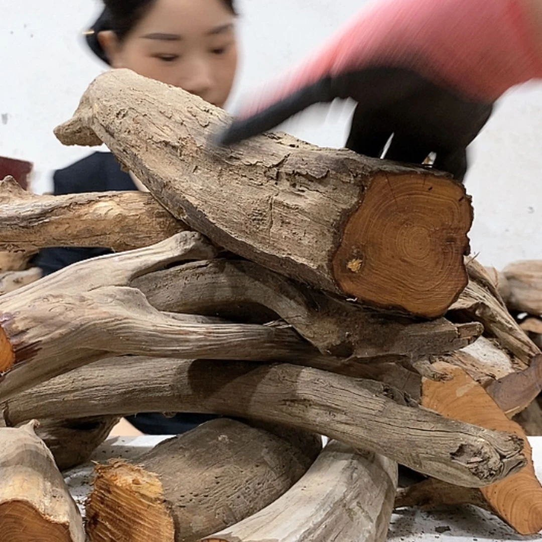 【闪购商品】柏木名**海我们都是好孩子