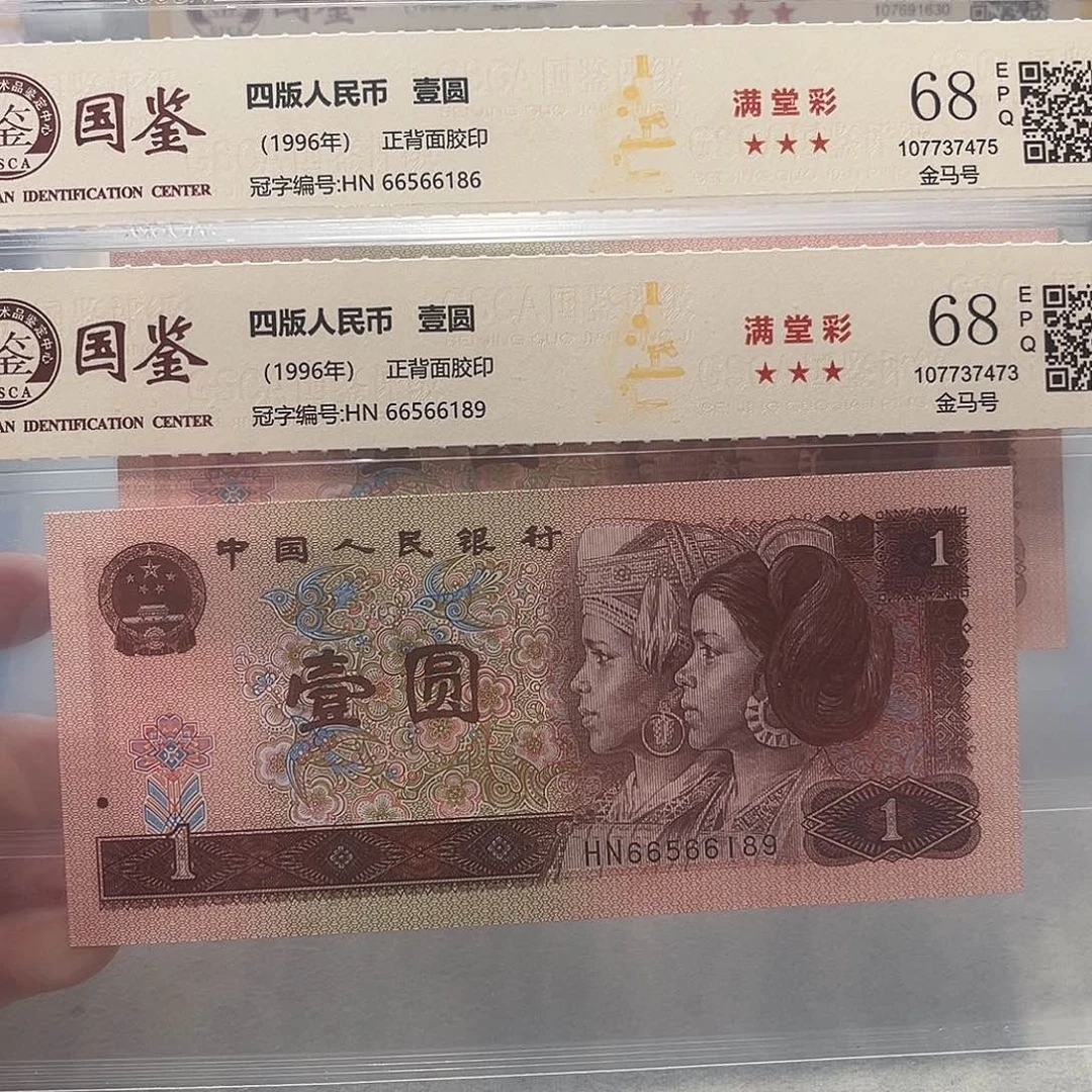 66566186：189。。。。。。金马